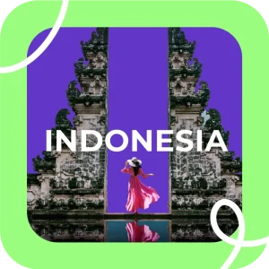 Indonesia eSIM for data roaming