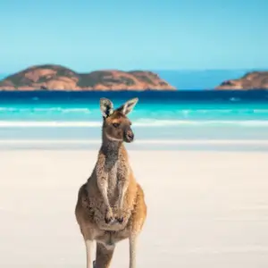 Australia eSIM