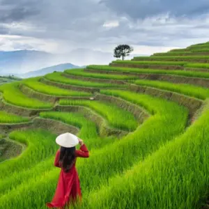 Vietnam eSIM
