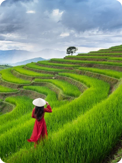 Vietnam eSIM